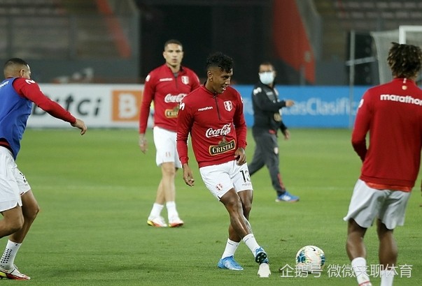 关于连胜终结！巴西队赛车赛事中意外挺进决赛的信息